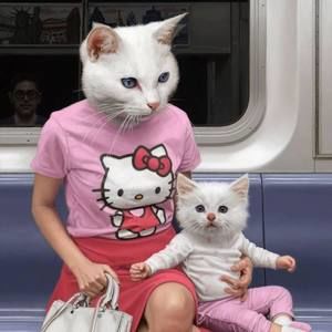 Meet your Posher, Merrick